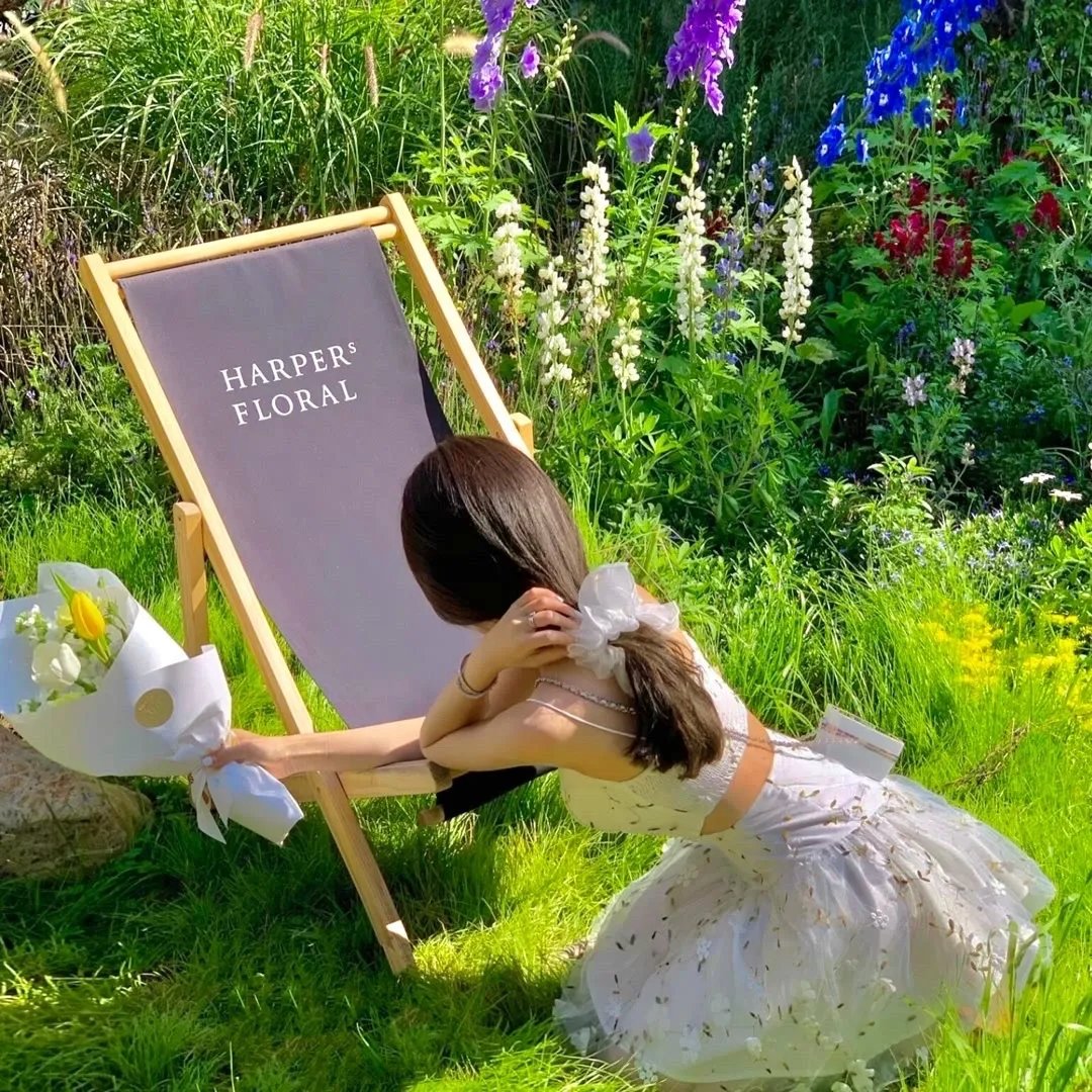 妻子的浪漫旅行 治愈加长版